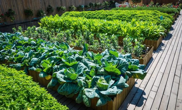 Edible Landscape Ideas, Use Profitable Productive Plants