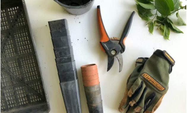 Gardening Tools and Equipment, Exploring the Finest Brands
