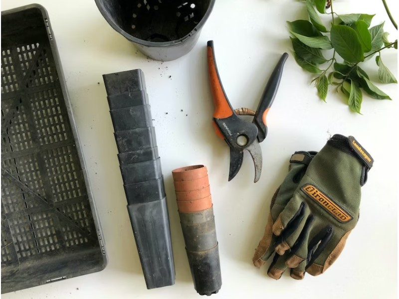 Gardening Tools and Equipment, Exploring the Finest Brands 