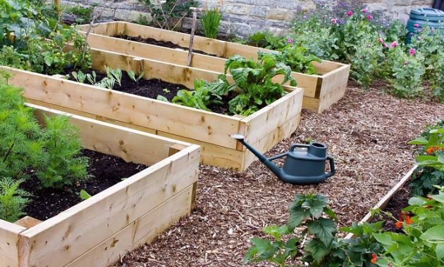 Raised Bed Gardening, Farming Solutions on Narrow Land