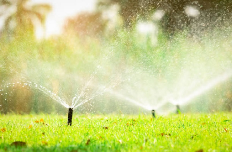 Types of Garden Irrigation Systems and their Explanations