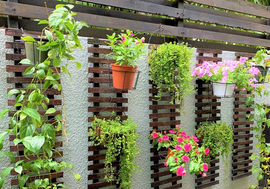 Vertical Gardening Ideas, Suitable For Limited Land 