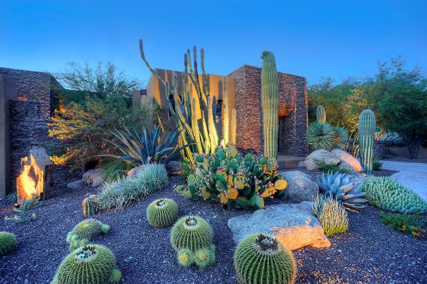 Creating a Themed Cactus Garden: Unique Inspiration and Ideas