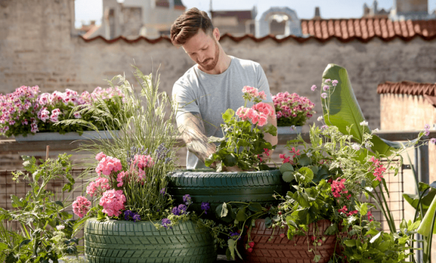 Essential Tips for Starting Your Own Home Garden (1)