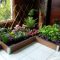 Revitalize Your Home with a Stunning Indoor Garden