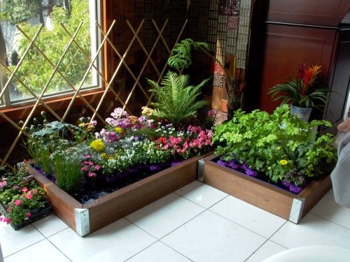 Revitalize Your Home with a Stunning Indoor Garden