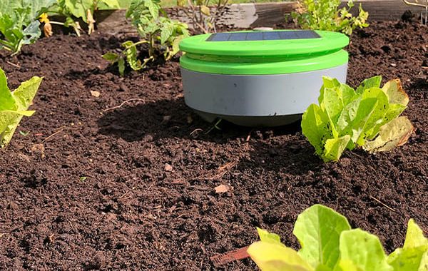 Smart Home Gardening Tools and Technologies to Try (1)