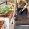 Gardening Tips for Small Spaces Make the Most of Your Garden