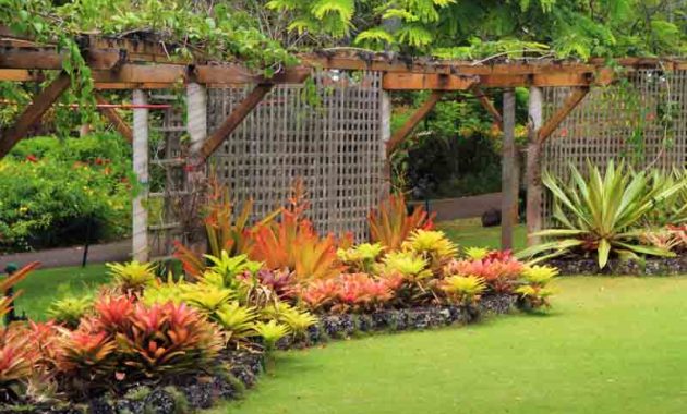 Lush and Green Best Plants for a Vibrant Garden Landscape