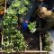 Expert Gardening Tips to Grow Healthy Plants at Home (1)