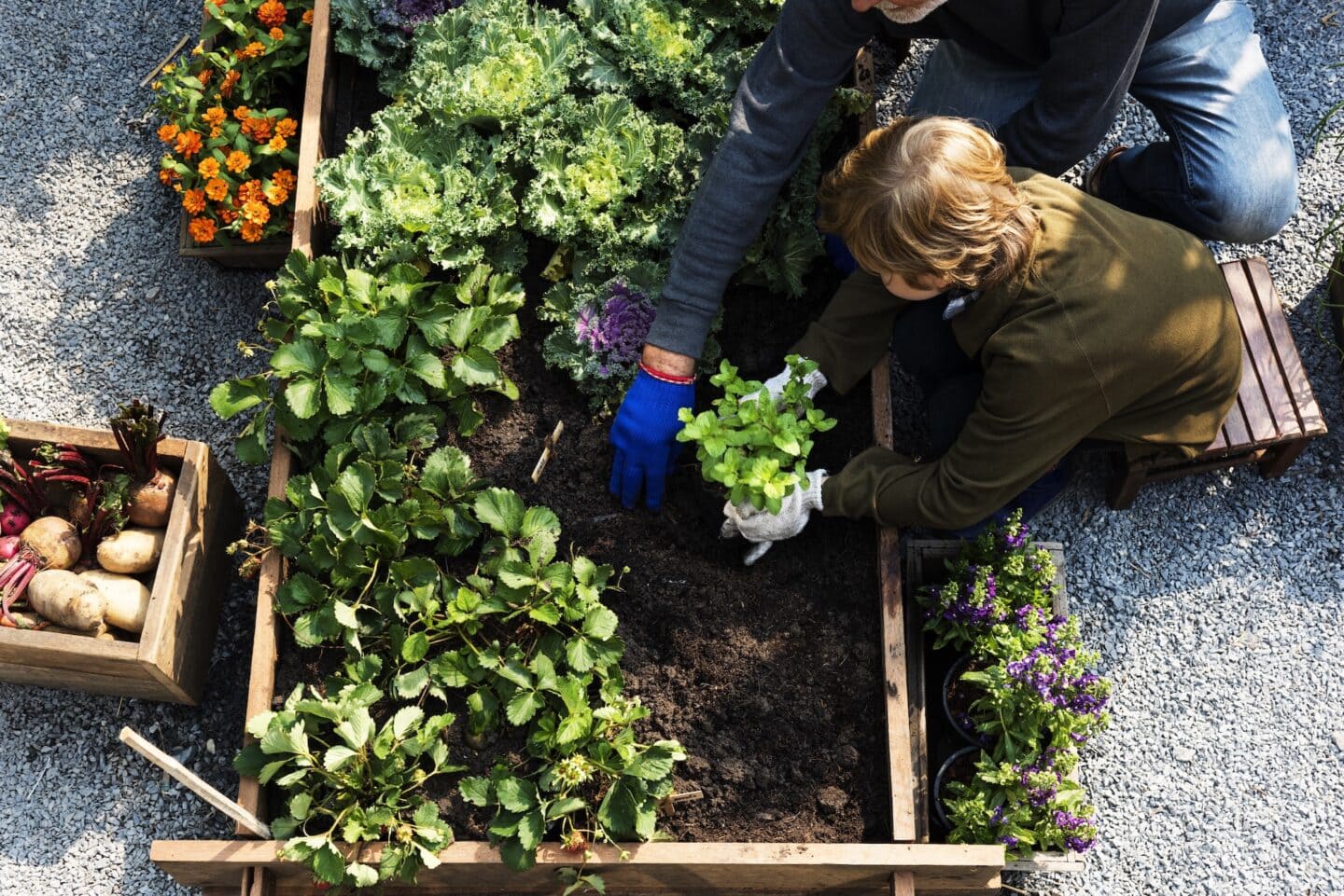 Expert Gardening Tips to Grow Healthy Plants at Home (1)