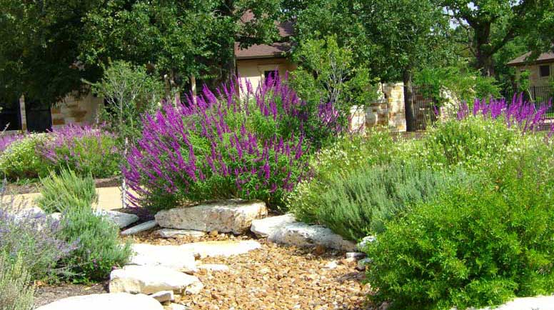 Gardening Landscape Ideas to Attract Birds and Butterflies