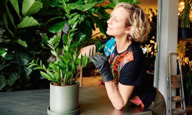 Mastering Plant Care Simple Steps for Thriving Greens