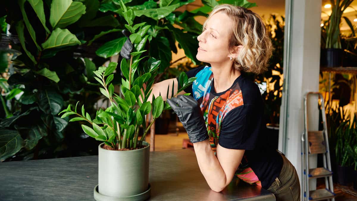 Mastering Plant Care Simple Steps for Thriving Greens